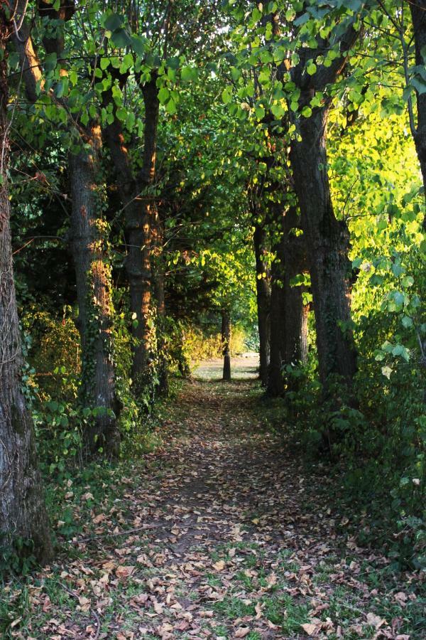 Domaine Des Lilas Saint-Germain-Lembron Dış mekan fotoğraf
