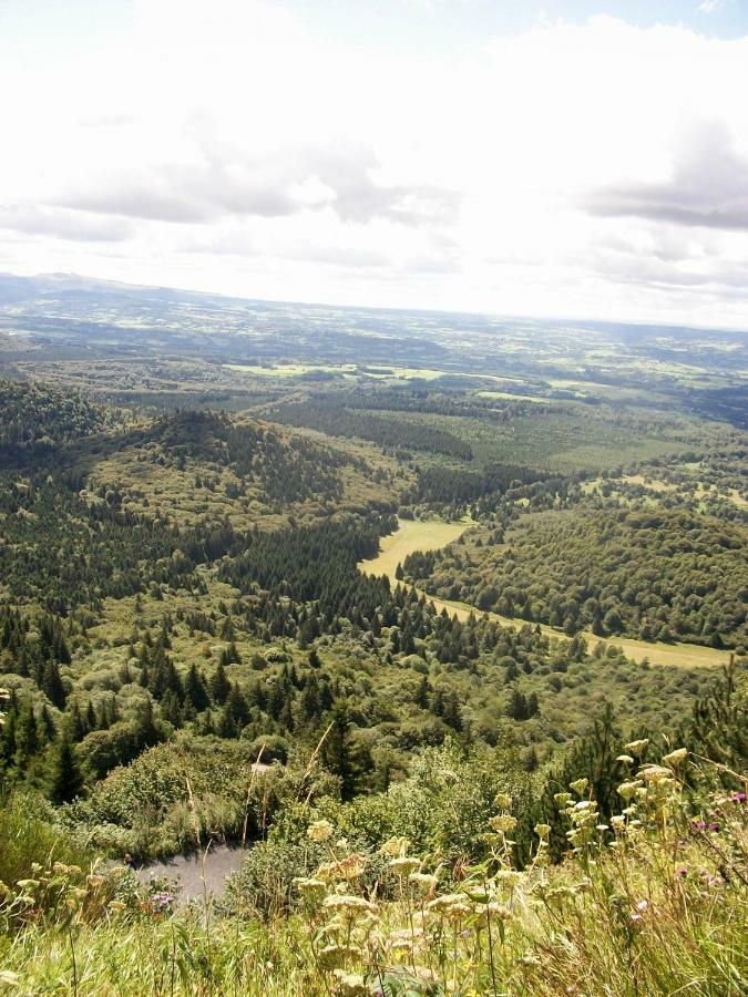 Domaine Des Lilas Saint-Germain-Lembron Dış mekan fotoğraf